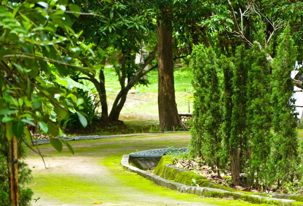 Golden Teak Homestay Маэ-Рим Экстерьер фото